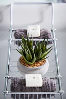 Cactus in pot on bath caddy 