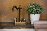 Classic mixer tap in country kitchen