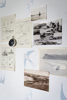 Nautical pictures on wall with swallow wallpaper 