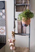 Terracotta pot of herbs hanging on ladder in kitchen with garlic 