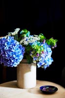 Cut hydrangea flowers in earthenware pot 