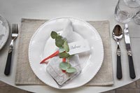 Dining place setting decorated for Christmas 