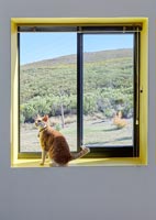 Pet cat sitting on windowsill with views of countryside beyond
