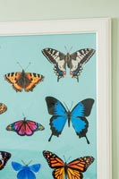Colourful butterfly painting 