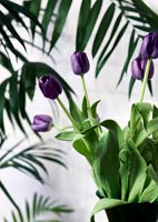 Detail of purple tulips in black vase 