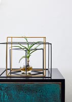 Plant in glass vase and metal frame on sideboard 