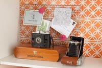 Vintage cameras on bookcase shelf with orange wallpaper backing 