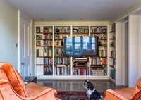 Large bookcase wall in modern living room 