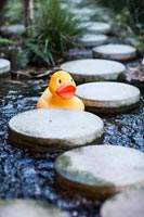Rubber duck with water feature 
