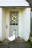 Entrance to farmhouse with geese 