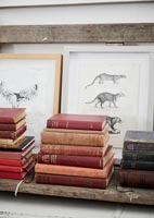 Vintage books and paintings  