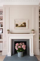 House plant in front of classic fireplace 
