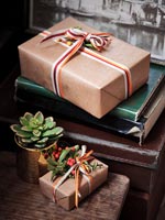 Wrapped Christmas gifts and small succulent plant on bedside table 