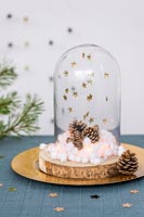 Snow globe with gold stars and pine cones