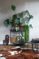 Houseplants on small black metal console table