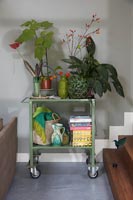 Green trolley with houseplants and accessories 