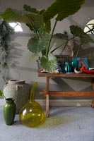 Houseplants on wooden bench and collection of vases and pots 