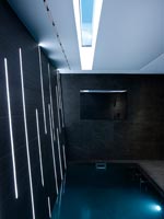 Black spa room with plunge pool 