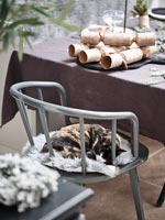 Pet can asleep on dining chair - Christmas crackers on table 