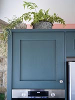 Houseplant on top of grey painted kitchen unit 
