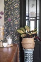 Houseplant in basket on decorative plinth next to wallpapered wall