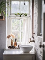 White sink below exposed pipes and decorative plant arrangement