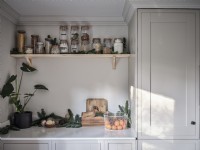 Storage jars and house plants in modern kitchen