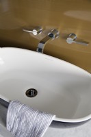 Villeroy and Boch sink detail. Wall taps, gold lacquered splash back