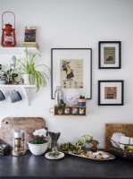 Retro artworks and house plant arrangement