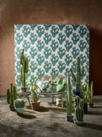 Cactus wallpaper with wicker sofa and cacti