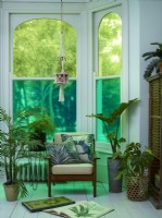Window with coloured privacy film and indoor plants