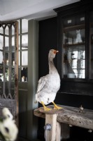 Stuffed goose in country kitchen