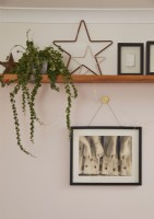 Living room detail showing open shelving with plants, photos and stars.