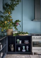 Potted lemon tree on country kitchen worktop