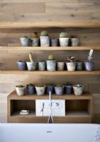 Display of potted plants on wooden bathroom wall shelves
