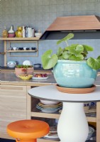 House plant in blue glazed pot in contemporary kitchen