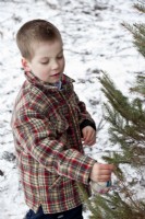 Young boy wearing a plaid jacket decorating outdoor Christmas tree