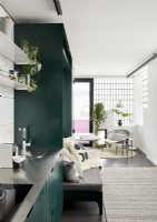 Green painted wall and units in modern kitchen 