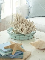 Coral appeals to Nikki for its cultural form and natural beauty. 