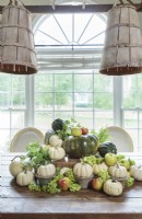 Gourds in varied sizes and colors are piled high on an old wooden create to form a fun centerpiece that reflect the time of the year.
