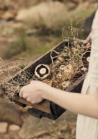 Woman holding a wooden tray of mushrooms and foraged foliage
