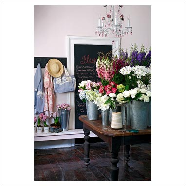 Florists on Gap Interiors   Vintage Florists Shop   Picture Library Specialising