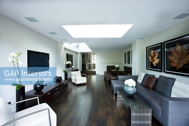 Interior of open plan  living and dining area with skylight, wooden floor and contemporary furniture