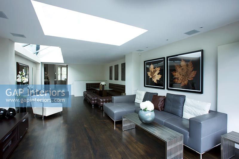 Interior of open plan living and dining area with skylight, wooden floor and contemporary furniture