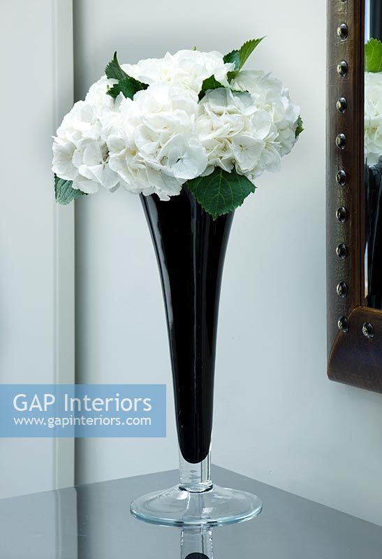 Detail of black stemmed glass vase with single white hydrangea bloom