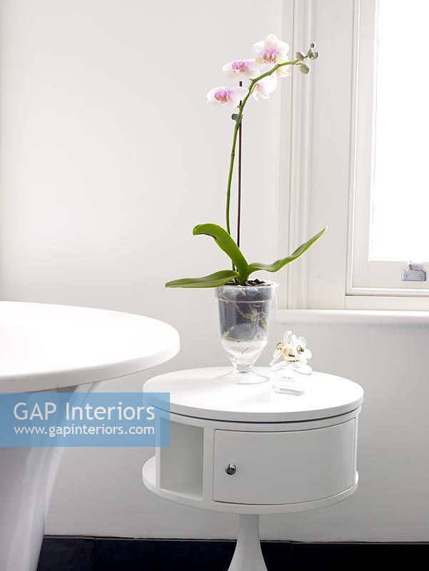 Orchid on side table in bathroom 
