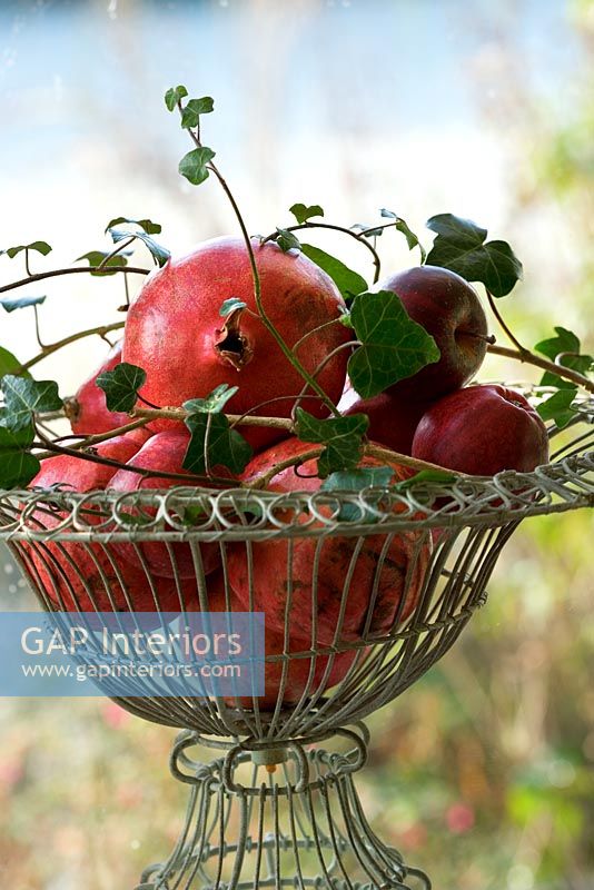 Ornate wire container with apples, ivy and pomegranites