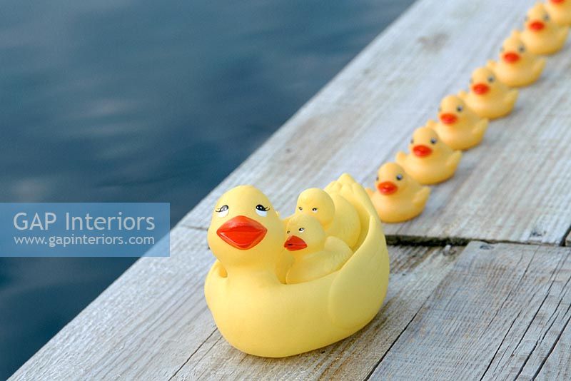 Row of rubber ducks next to pool 