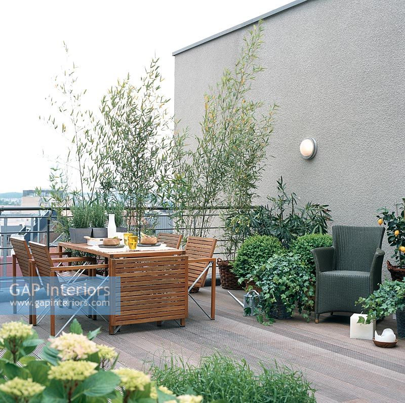 Modern roof garden 