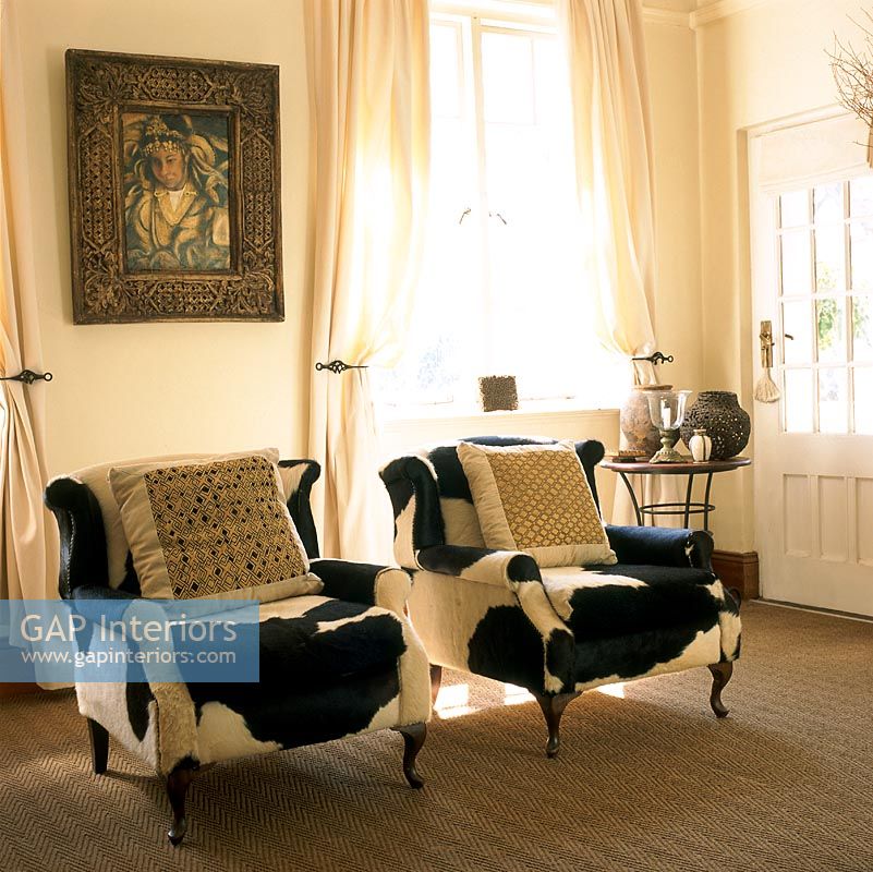 Two cowhide covered armchairs